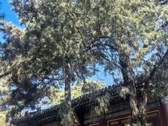 -潭柘寺景区