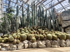 -南山植物园