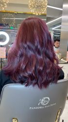 -潘多拉Hairsalon
