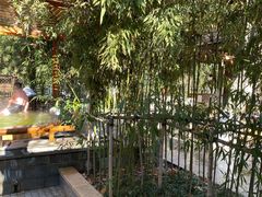 -春晖园度假酒店温泉