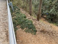 -九曜山