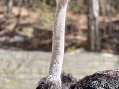 -燕塞湖鸟语林景区