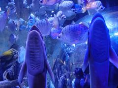 -成都浩海立方海洋公园