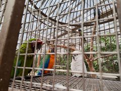 -南宫五洲植物乐园