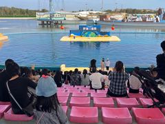 -秦皇岛乐岛海洋王国