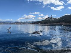 -丽江泸沽湖景区