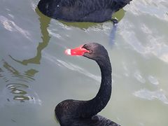 -广州白江湖森林公园