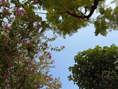 -厦门园林博览苑
