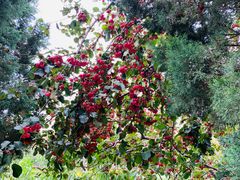 -春晖园度假酒店温泉