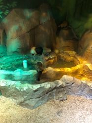 -酷嗒动物文化乐园(cutezoo西溪乐天城店)