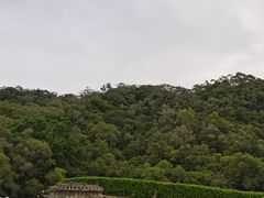 -威远炮台