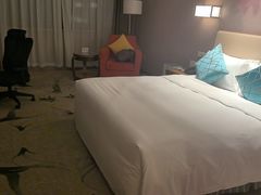 -北京广安门维景国际大酒店