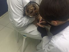-中农大我爱我爱24h动物医院·中医针灸·猫专科·骨科医疗中心(双井店)