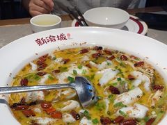 -新渝城·始于2000年(淘金店)