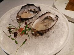 法国吉拉多生蚝-Solo(衡山路店)