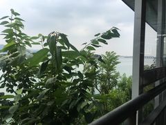 -望湖烤鱼
