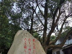 -敬亭山风景名胜区