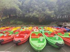-上海方塔园