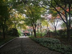 -南山植物园