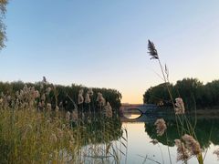 -大兴滨河森林公园