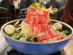 -猫头鹰炸鸡