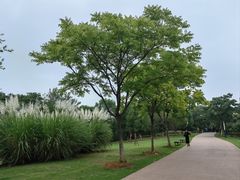 -盘龙城国家考古遗址公园