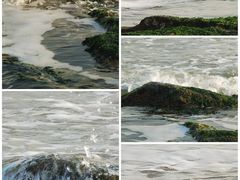 -日照海滨国家森林公园