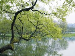 -天龙顶山地公园