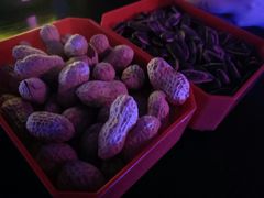 -好久不见网红乐队酒吧(鼓浪屿海底世界店)