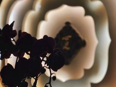 -心足私家足疗SPA(深圳湾店)