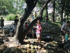 -成都市活水公园
