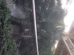 同方豪生大酒店-诸暨同方豪生大酒店