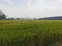 -嘉北郊野公园
