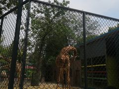 -荆州中山公园动物园