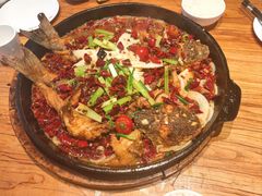 -老板恋上鱼(恒隆广场店)