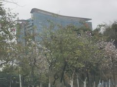 -松山湖南湖湾露营营地
