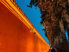 -中山公园音乐堂