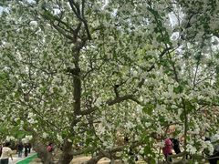 -元大都城垣遗址公园