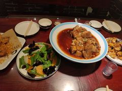 -邵年鸽(杨庄店)