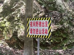 -杭州少年儿童公园