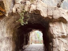 -汉中石门栈道风景区