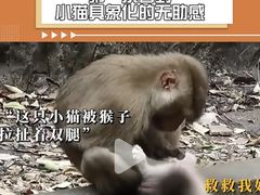 -昆明动物园