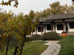 -西安青龙寺遗址景区