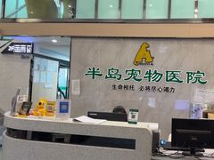 -半岛宠物医院24小时(科华中路店)