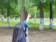 -黄海国家森林公园