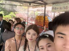 -上海玛雅海滩水公园