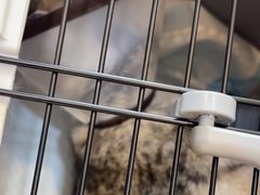 -贝康宠物医院·犬猫全科·小动物特色诊疗中心(东环路店)