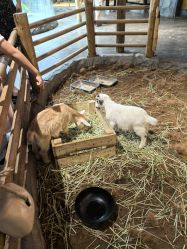 -Zoolung Zoolung动物主题公园(海信广场店)