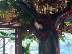 -草原塞蛮羊火锅城(港湾店)