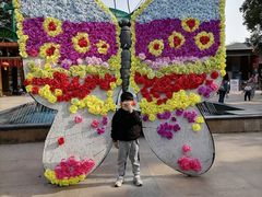 -松山湖梦幻百花洲